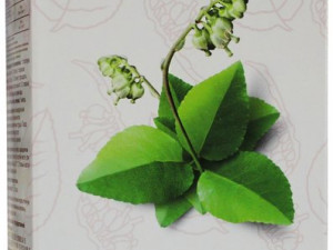 Таулы жатыр