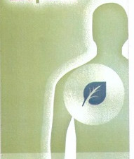 Бронхипрет