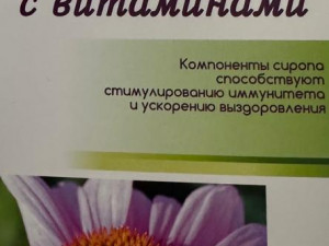 Витаминдері бар эхинацея