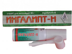 Ингалипт-Н