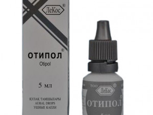 Отипол
